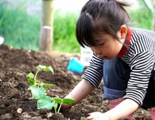 苗を植える女の子